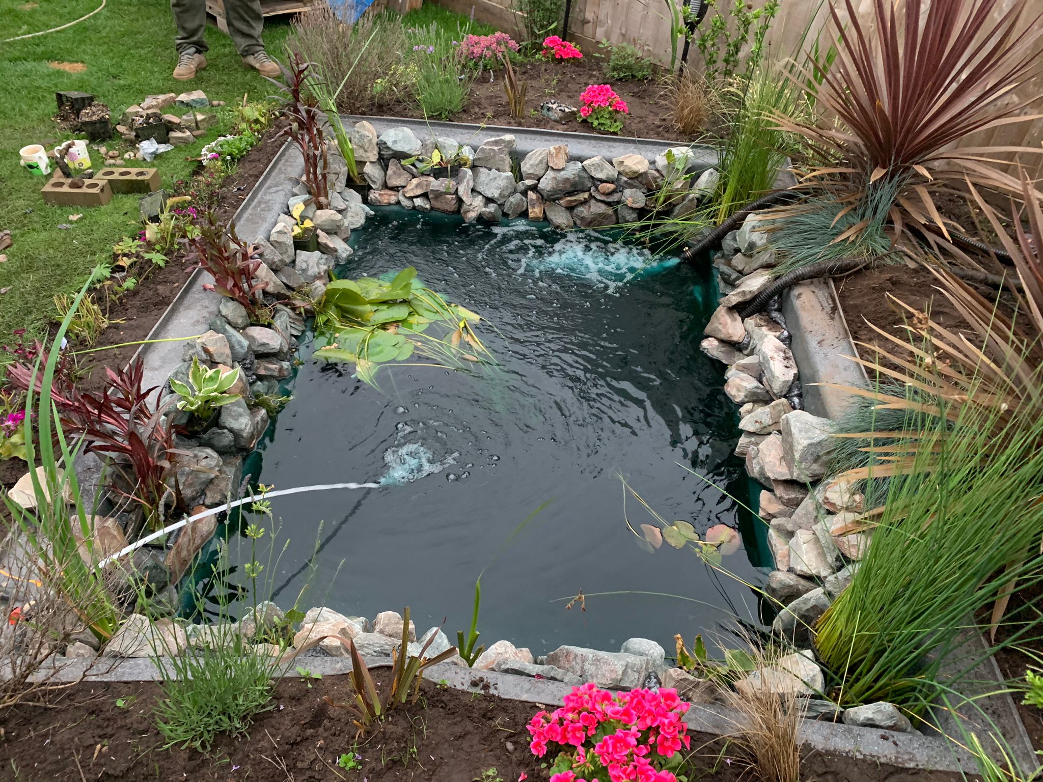 pond